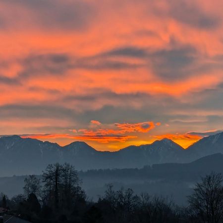 Am Eichholz Galerie&Art-Hotel Murnau am Staffelsee Exteriér fotografie